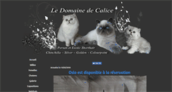 Desktop Screenshot of ledomainedecalice.com